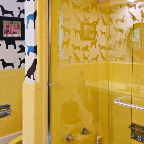 Project Retro bathroom, framed shower glass, Littleton, Colorado ' image - ' 1