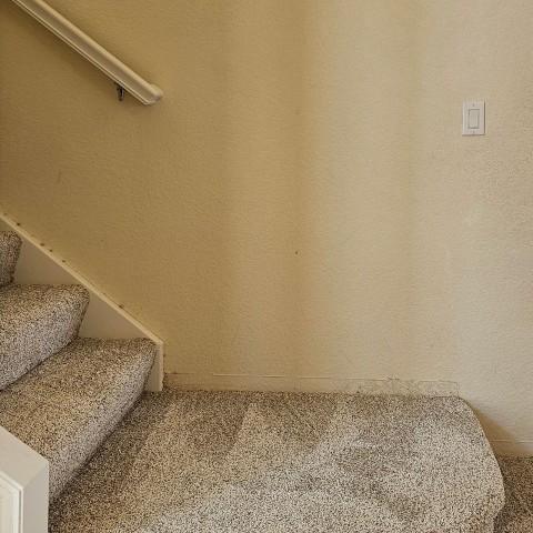 Project Carpet replacement bedrooms, stairs, Castle Pines, Colorado ' image - ' 7