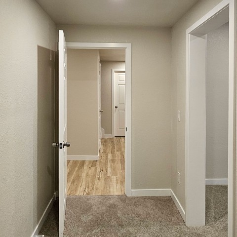 Image - 13
