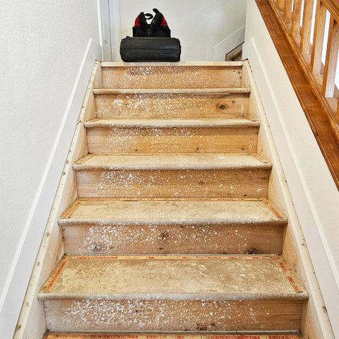 Project Home renovation, paint, flooring, carpentry, misc., Castle Rock, Colorado ' image - ' 9