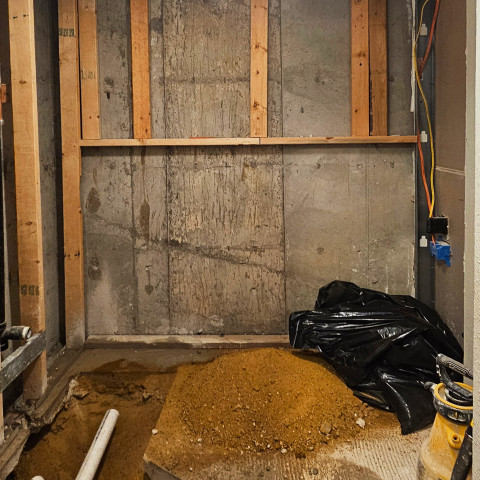 Project Basement remodeling laundry, bath, bedroom, Centennial, Colorado ' image - ' 19