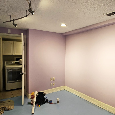 Project Basement remodeling laundry, bath, bedroom, Centennial, Colorado ' image - ' 4