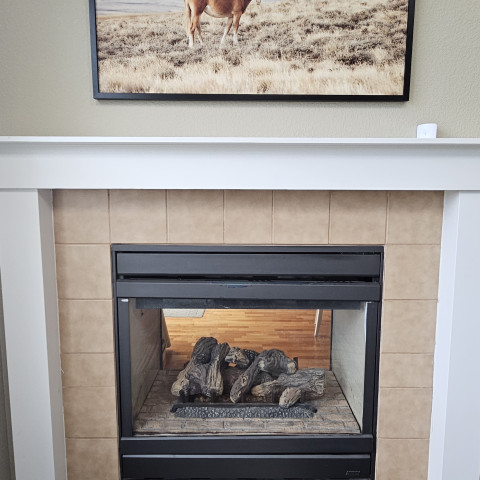 Project Double side fireplace remodeling, Highland Ranch, Colorado ' image - ' 1