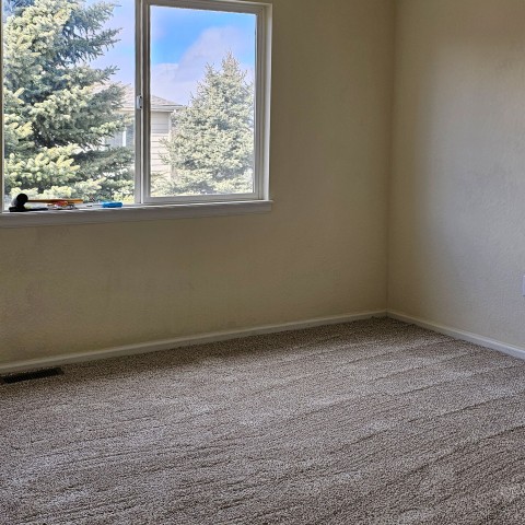 Project Carpet replacement bedrooms, stairs, Castle Pines, Colorado ' image - ' 15