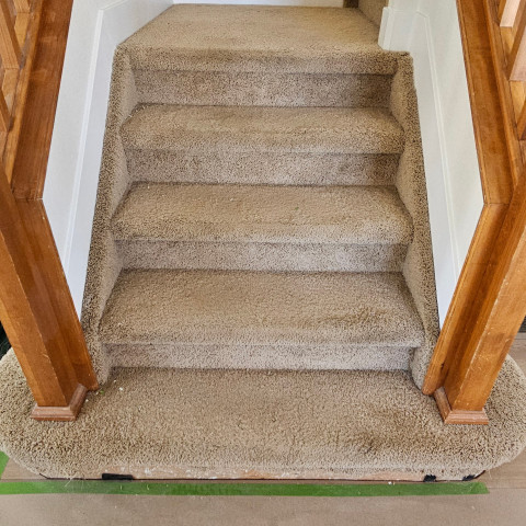 Project Home renovation, paint, flooring, carpentry, misc., Castle Rock, Colorado ' image - ' 2