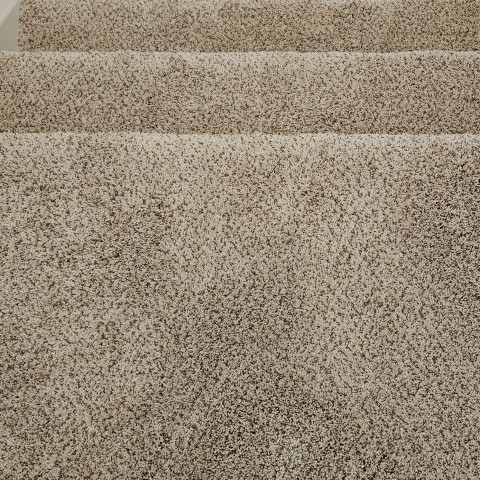 Project Carpet replacement bedrooms, stairs, Castle Pines, Colorado ' image - ' 8
