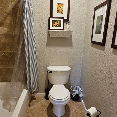 Project Bathroom remodeling white and black, Castle Pines, Colorado ' image - ' 29