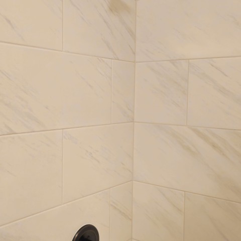 Project Bathroom remodeling white and black, Castle Pines, Colorado ' image - ' 40