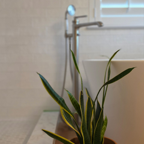 Project Master bath remodeling, Highlands Ranch, CO ' image - ' 26