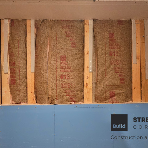 Project Basement remodeling laundry, bath, bedroom, Centennial, Colorado ' image - ' 21