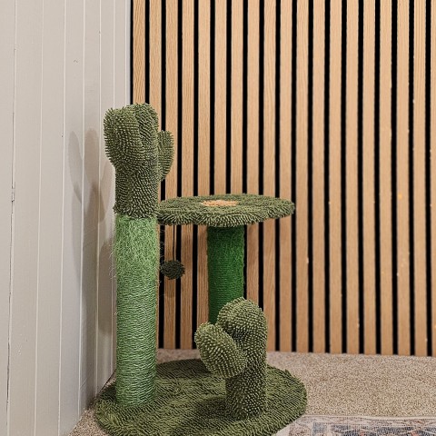 Image - 10