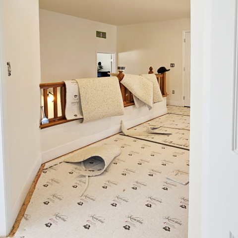 Project Home renovation, paint, flooring, carpentry, misc., Castle Rock, Colorado ' image - ' 7