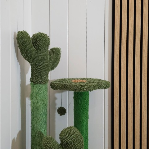 Image - 12