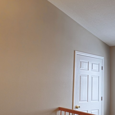 Image - 40